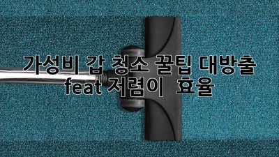 ✨💰 가성비 갑! 청소 꿀팁 대방출 (feat. 저렴이 & 효율) 🧹